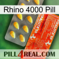 Rhino 4000 Pill new01